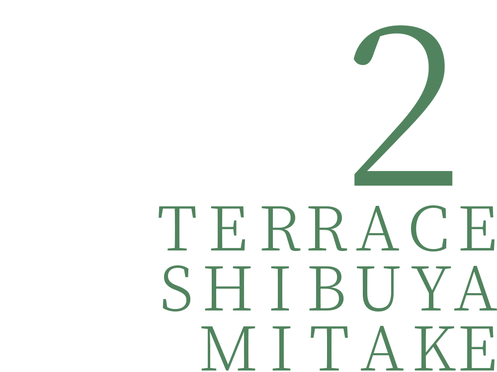1 TERRACE SHIBUYA MITAKE