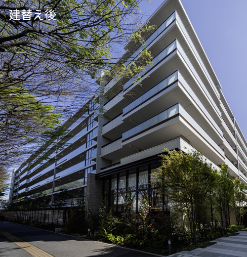 建替え後