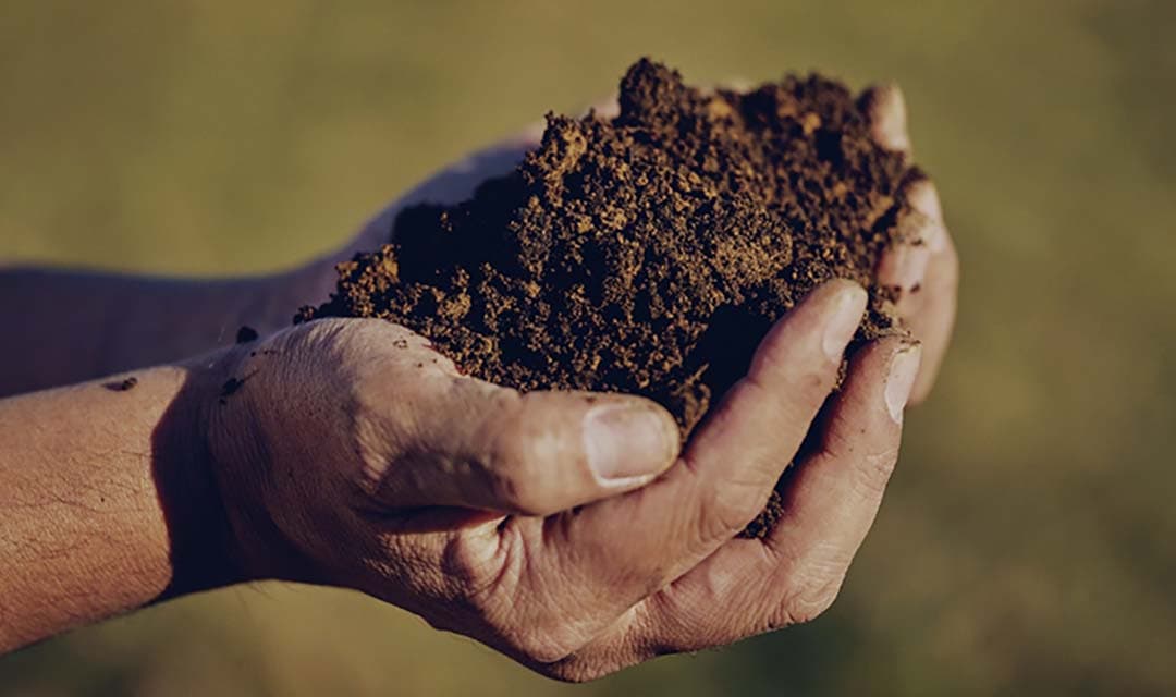 Agriculture