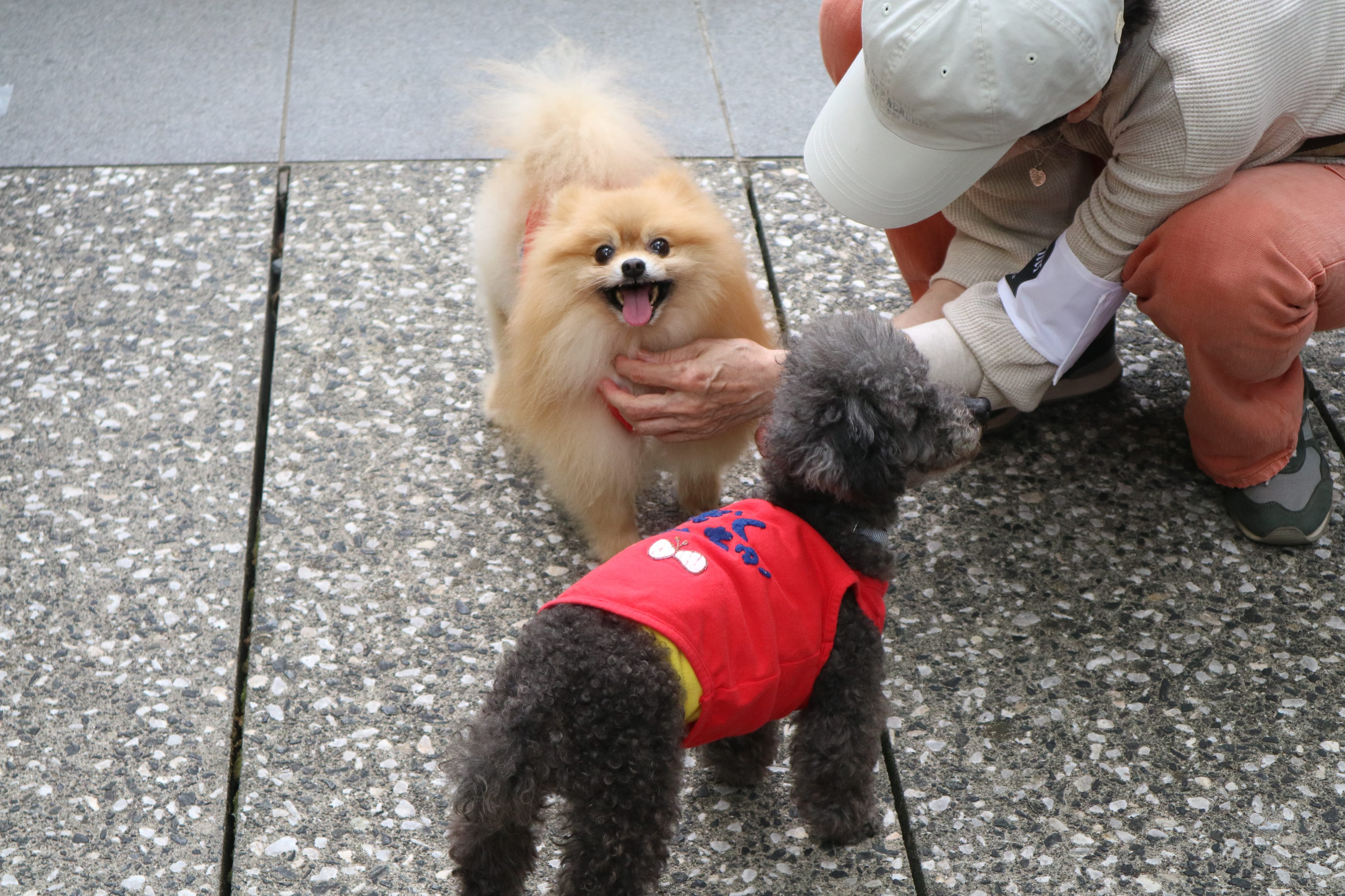 SHINAGAWA URBAN PET LIFE